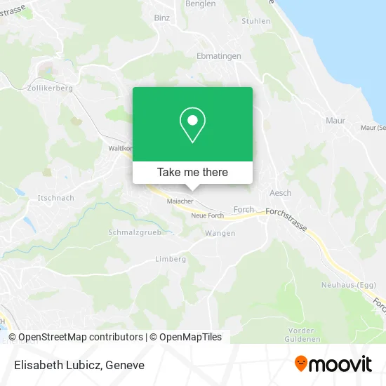 Elisabeth Lubicz map