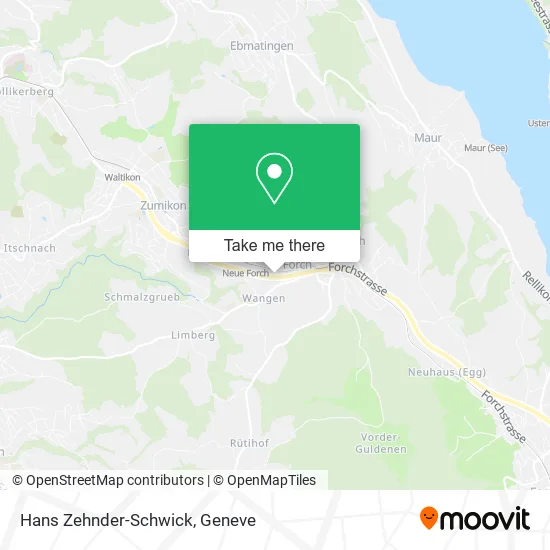 Hans Zehnder-Schwick map