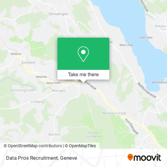Data Pros Recruitment plan