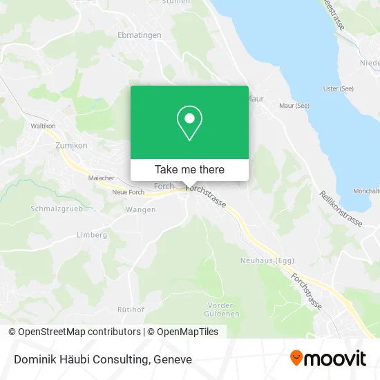 Dominik Häubi Consulting map