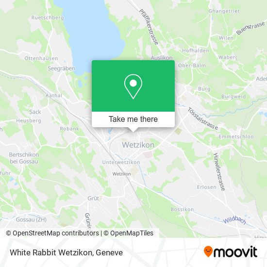 White Rabbit Wetzikon map