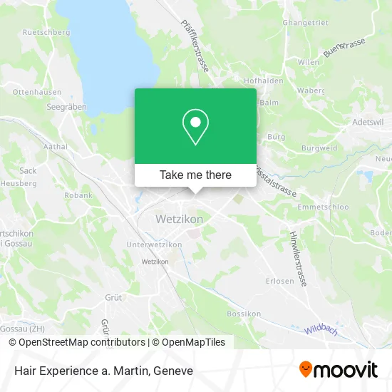 Hair Experience a. Martin map