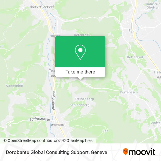 Dorobantu Global Consulting Support map
