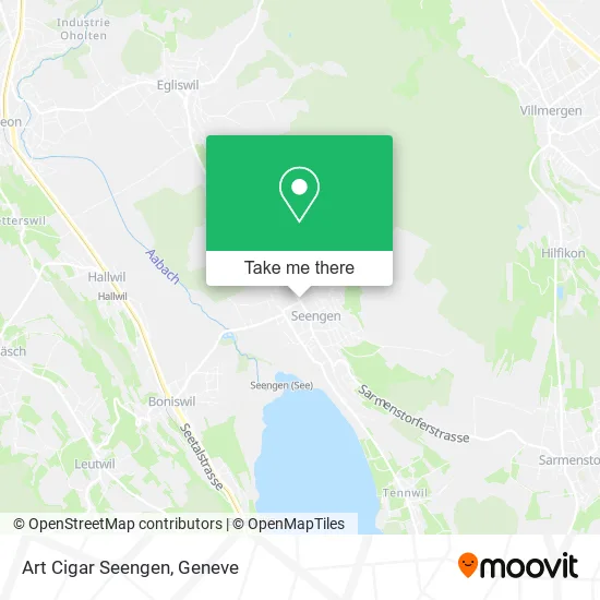 Art Cigar Seengen map