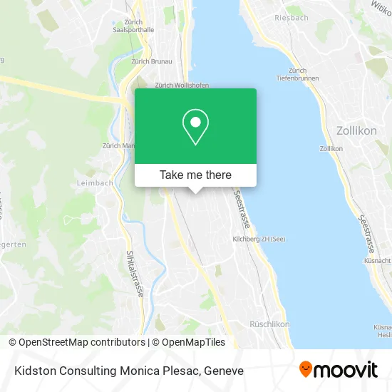 Kidston Consulting Monica Plesac plan