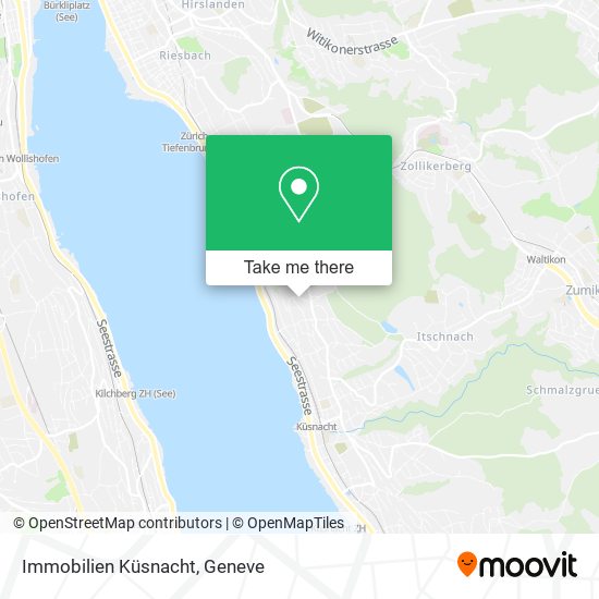 Immobilien Küsnacht map