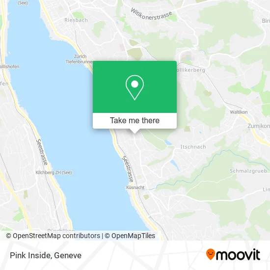 Pink Inside plan