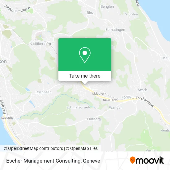 Escher Management Consulting map