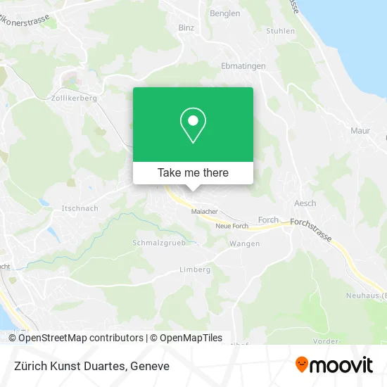 Zürich Kunst Duartes map