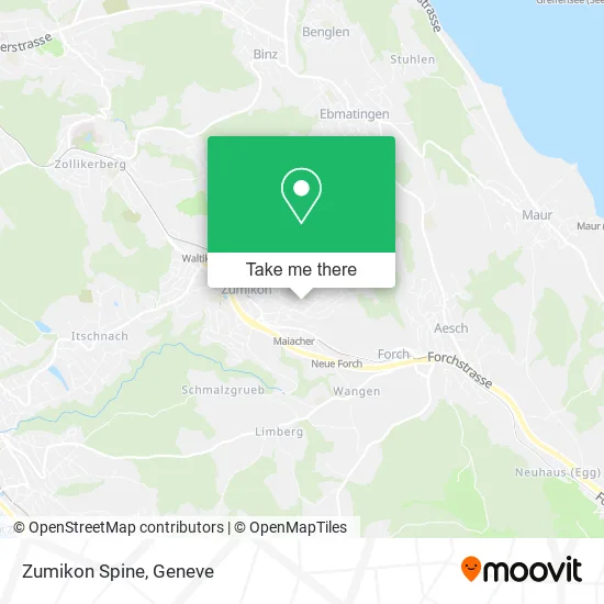 Zumikon Spine map