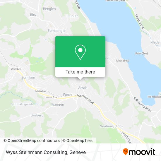 Wyss Steinmann Consulting map