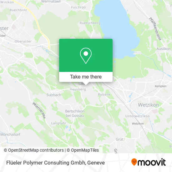 Flüeler Polymer Consulting Gmbh map