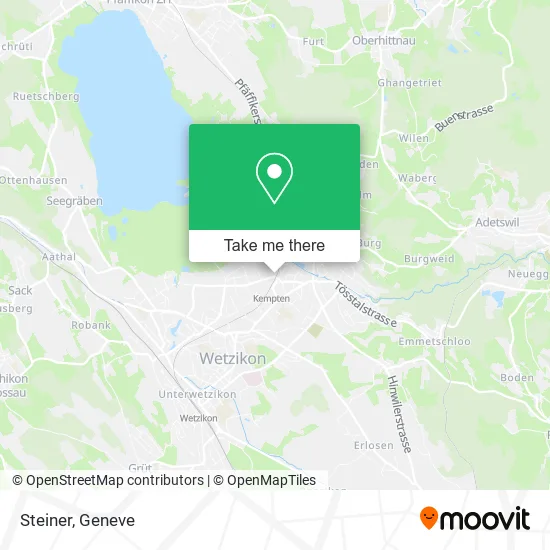 Steiner map