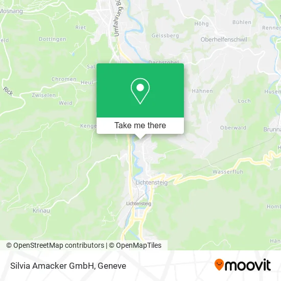 Silvia Amacker GmbH map