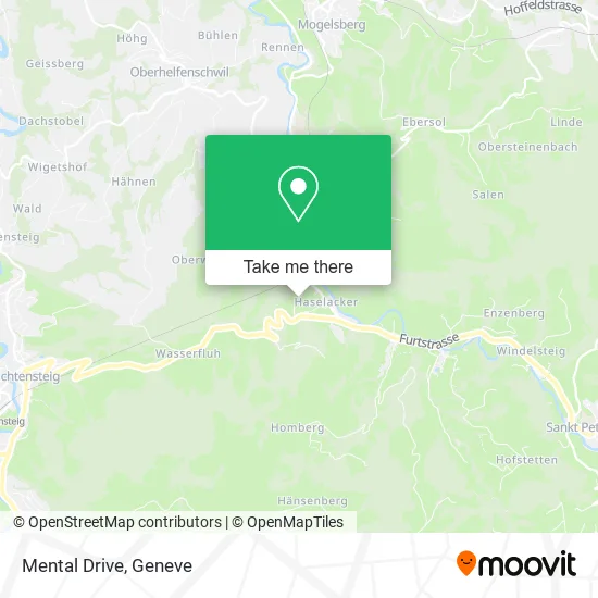 Mental Drive map