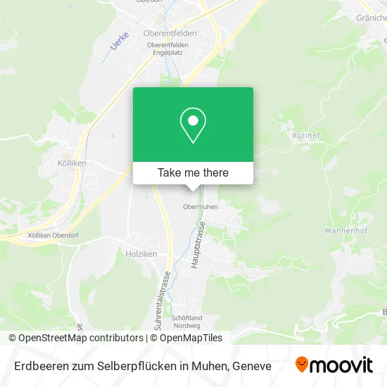 Erdbeeren zum Selberpflücken in Muhen map