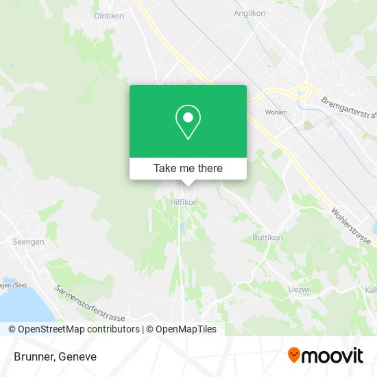 Brunner map