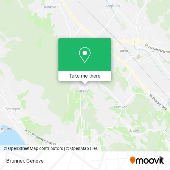 Brunner map