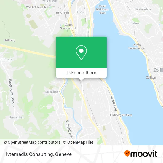 Ntemadis Consulting plan