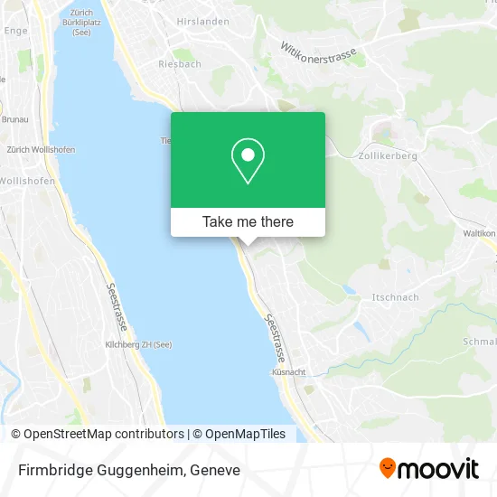 Firmbridge Guggenheim map