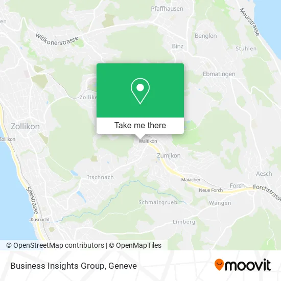 Business Insights Group map
