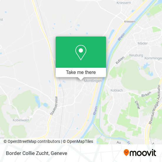 Border Collie Zucht map