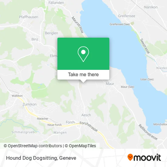 Hound Dog Dogsitting map