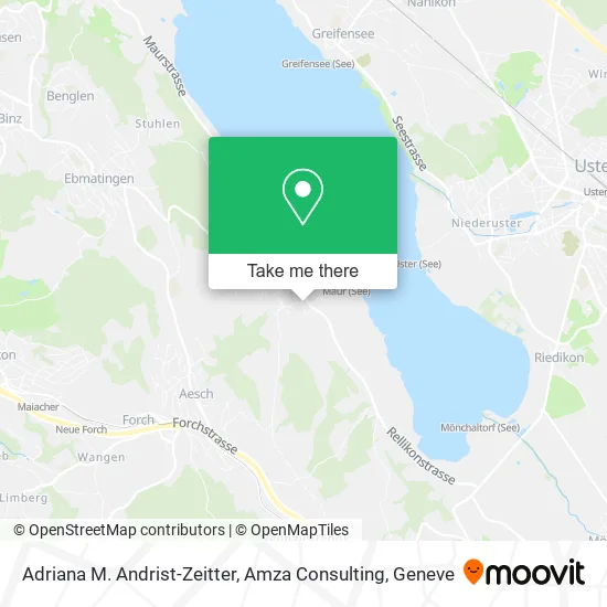 Adriana M. Andrist-Zeitter, Amza Consulting map