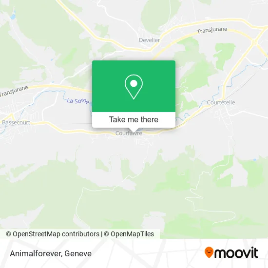 Animalforever map