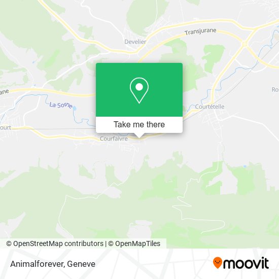 Animalforever map