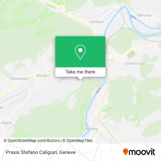 Praxis Stefano Caligiuri plan