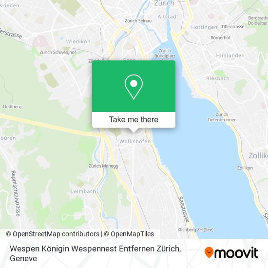 Wespen Königin Wespennest Entfernen Zürich map