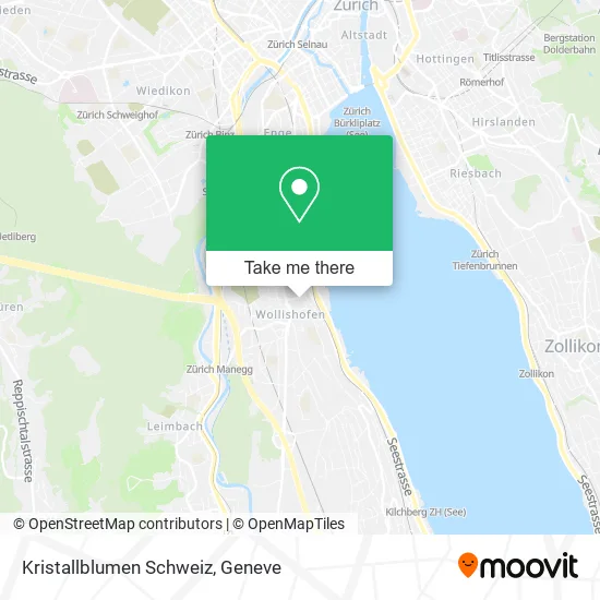 Kristallblumen Schweiz plan
