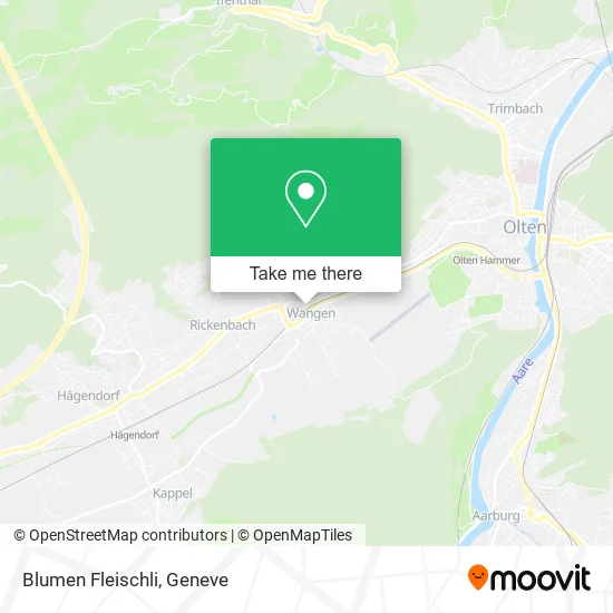 Blumen Fleischli map