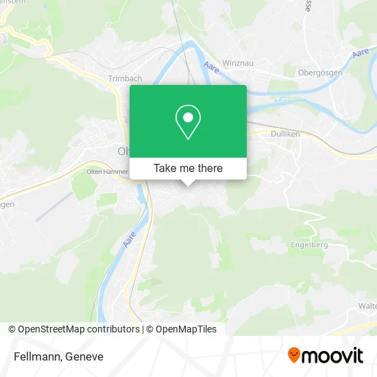 Fellmann map