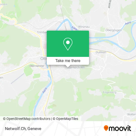 Netwolf.Ch plan