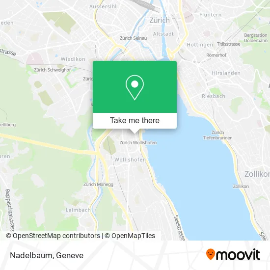 Nadelbaum map