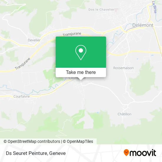 Ds Seuret Peinture map