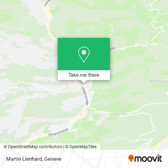 Martin Lienhard map