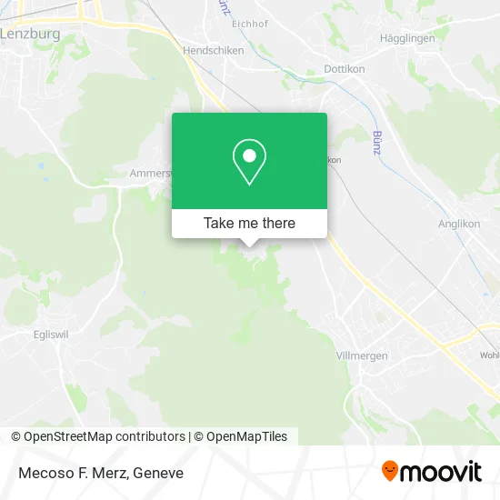 Mecoso F. Merz map