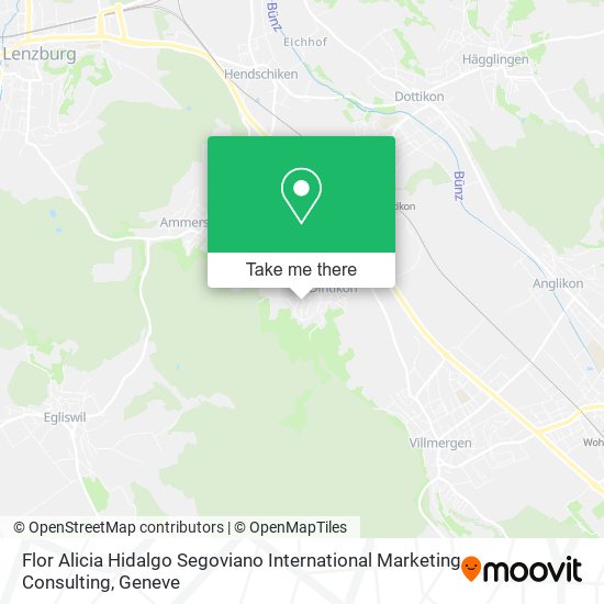 Flor Alicia Hidalgo Segoviano International Marketing Consulting map