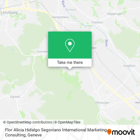 Flor Alicia Hidalgo Segoviano International Marketing Consulting map