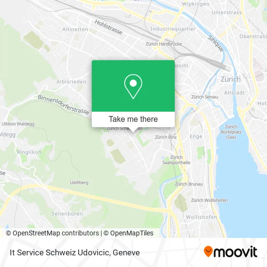 It Service Schweiz Udovicic plan