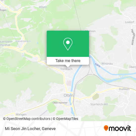 Mi Seon Jin Locher map