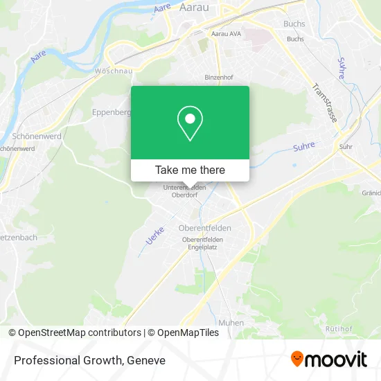 Professional Growth map