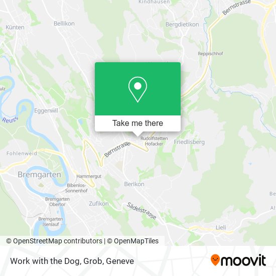 Work with the Dog, Grob map