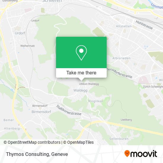 Thymos Consulting plan