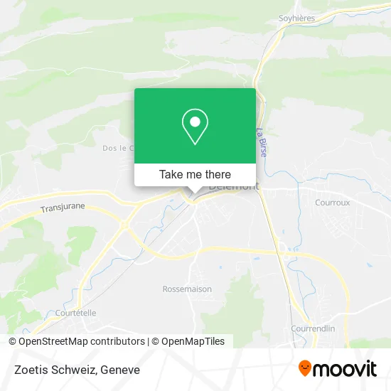Zoetis Schweiz plan