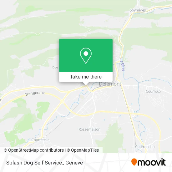 Splash Dog Self Service. plan