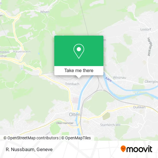 R. Nussbaum map